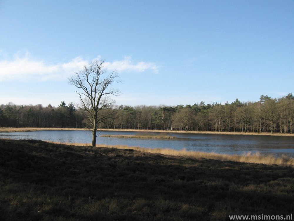 Hilversums_Wasmeer_5292