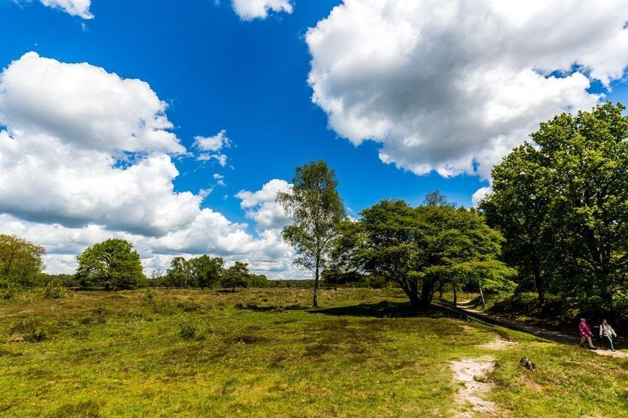 utrechtpad_baarn_hollandsche_rading-19