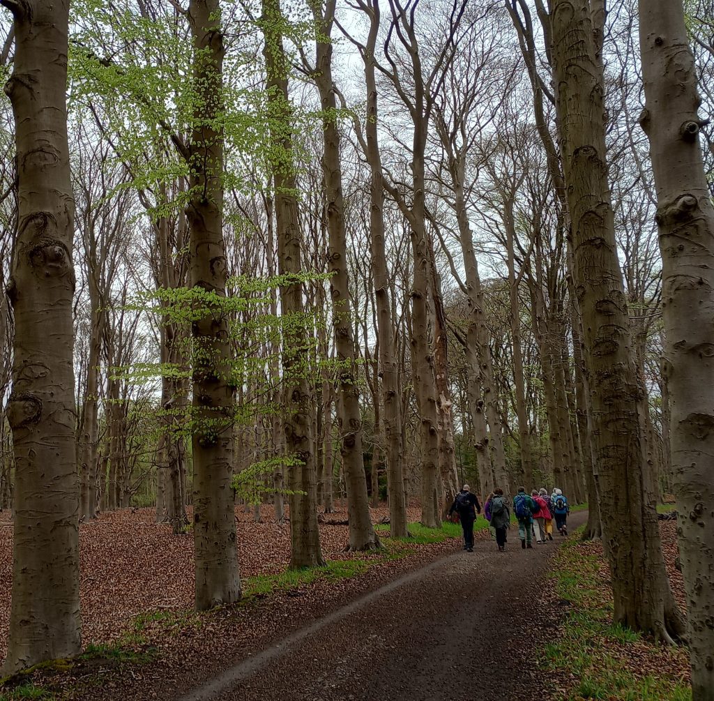 Wandel lente 4 daagse